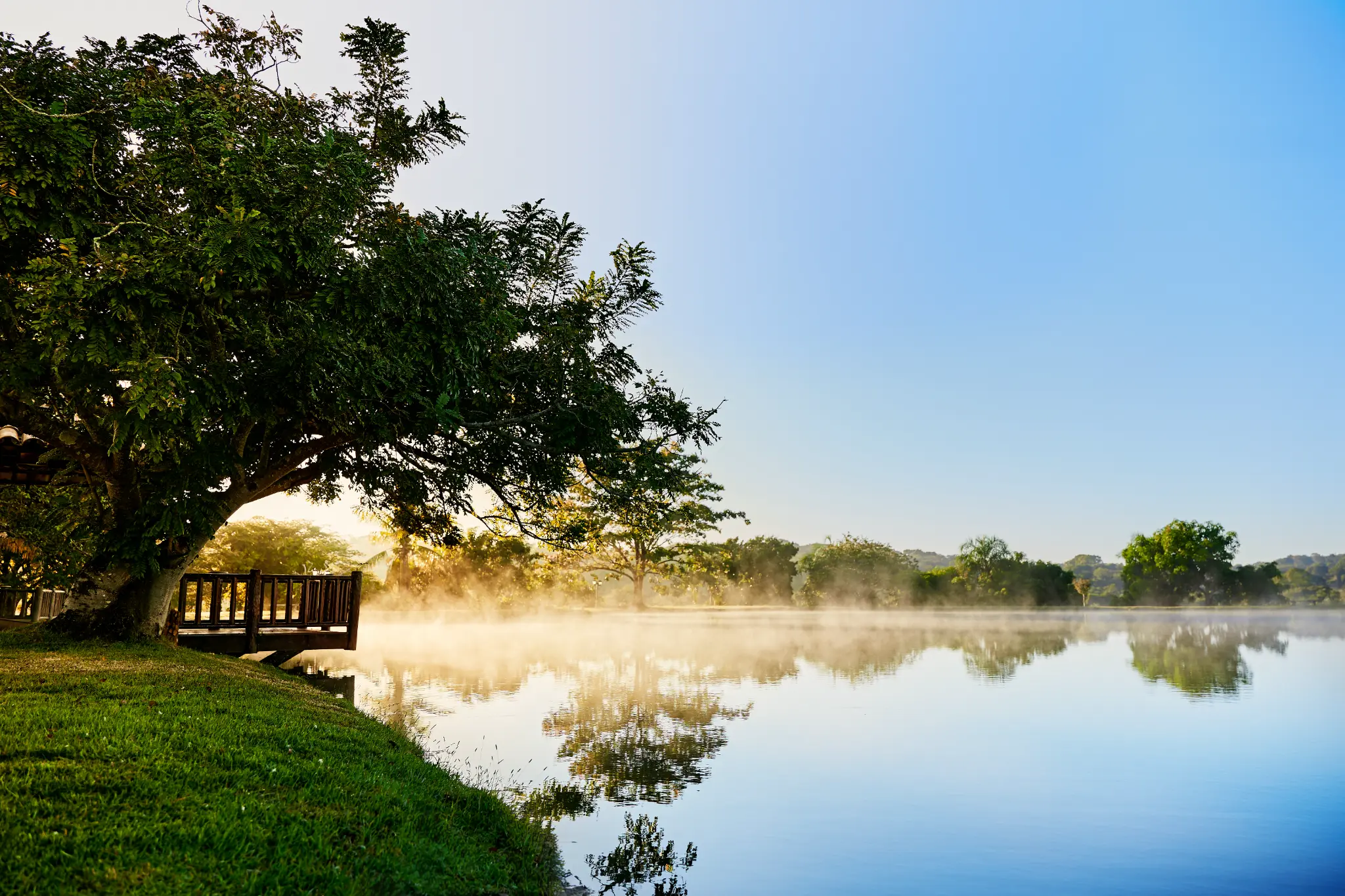 Natureza e Família
