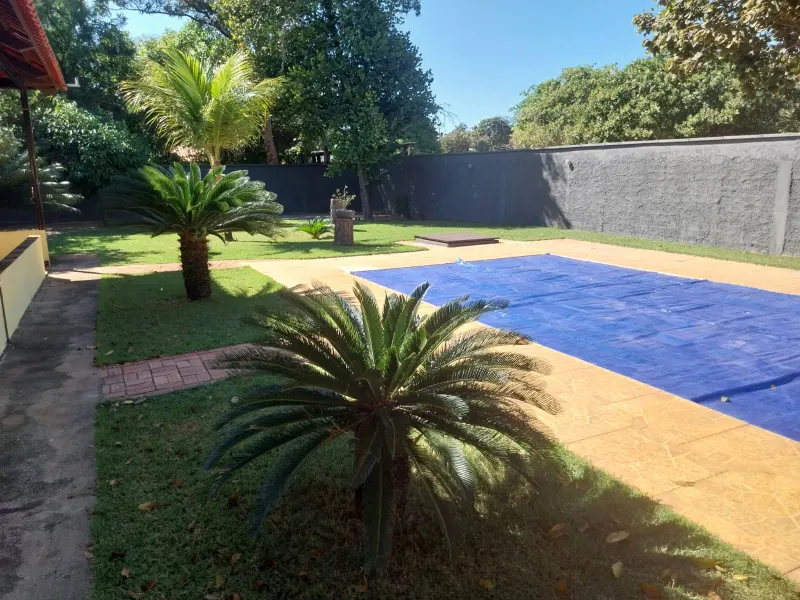 Piscina e jardim com palmeiras na casa de temporada em Itacaiú